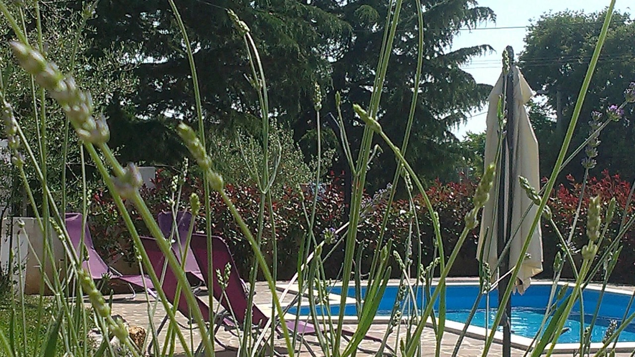 Photo of Outdoor in Kosinozici