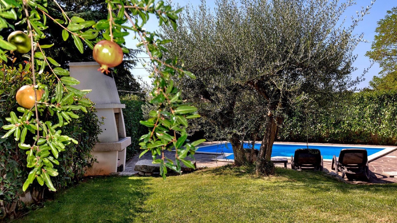 Photo of Outdoor in Kosinozici