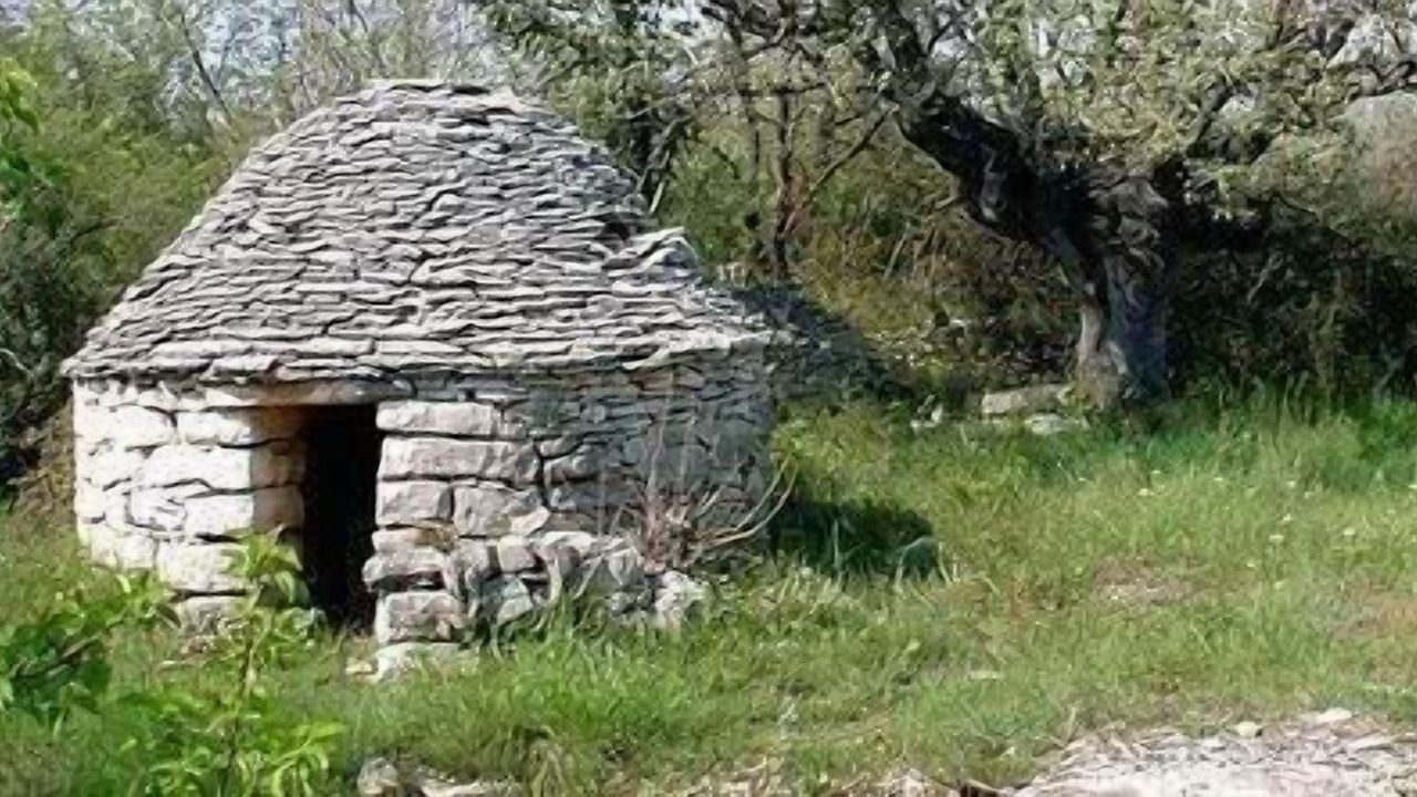 Photo of Others in Kosinozici