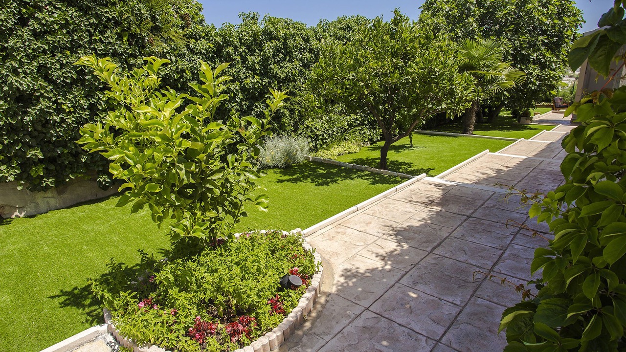 Photo of Outdoor in Bacvice