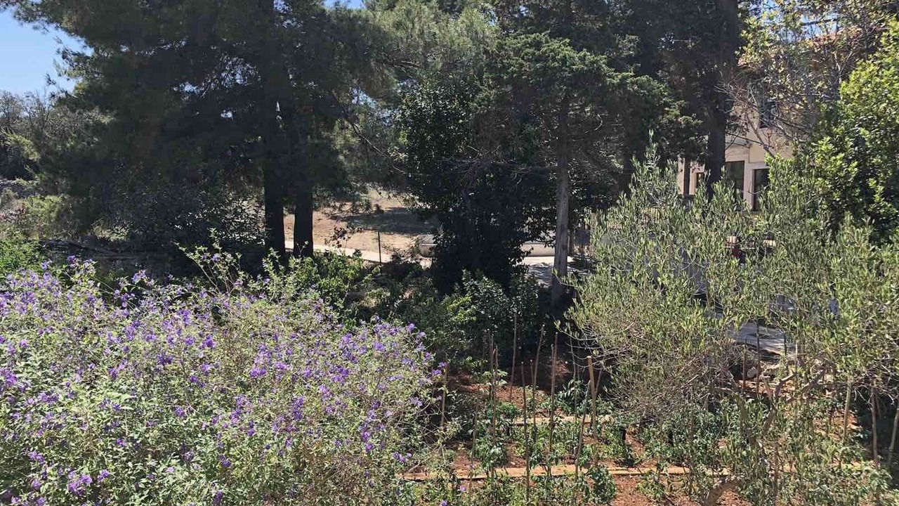 Photo of Outdoor in Ilovik