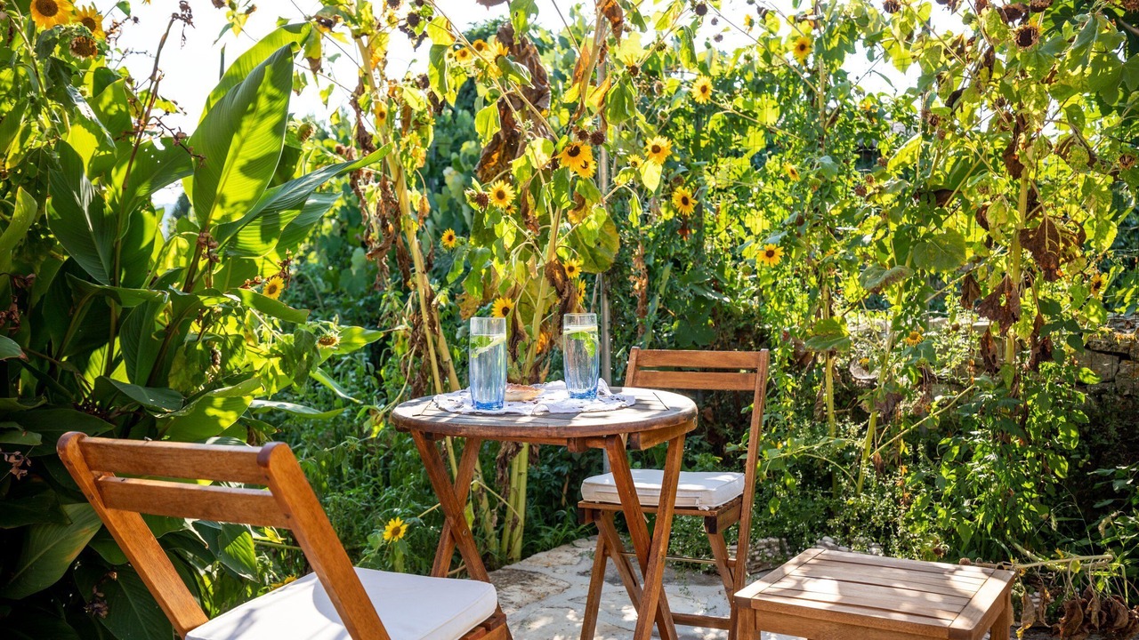 Photo of Patio Balcony in Zrnovo