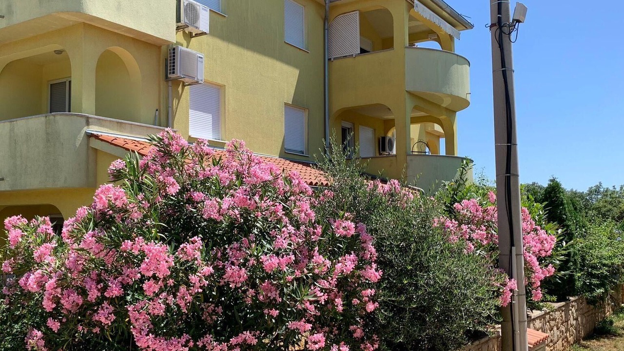 Photo of Outdoor in Liznjan