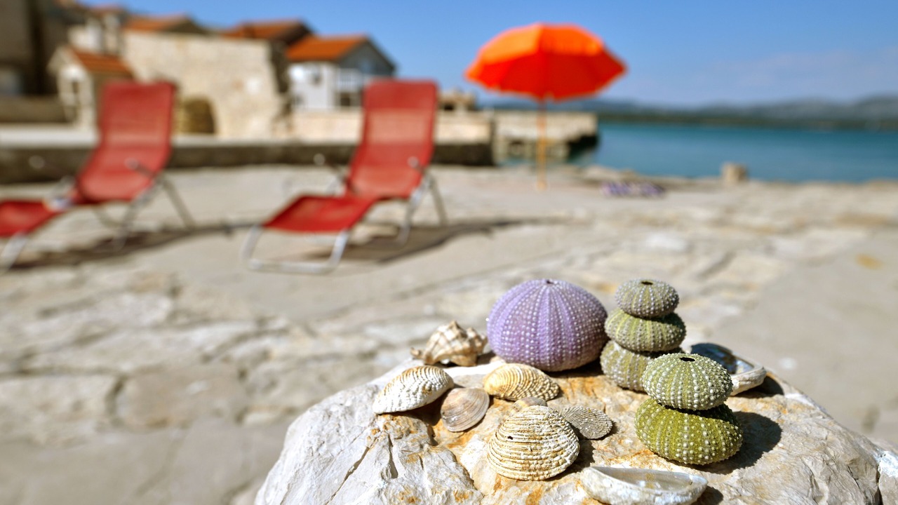 Photo of Outdoor in Betina