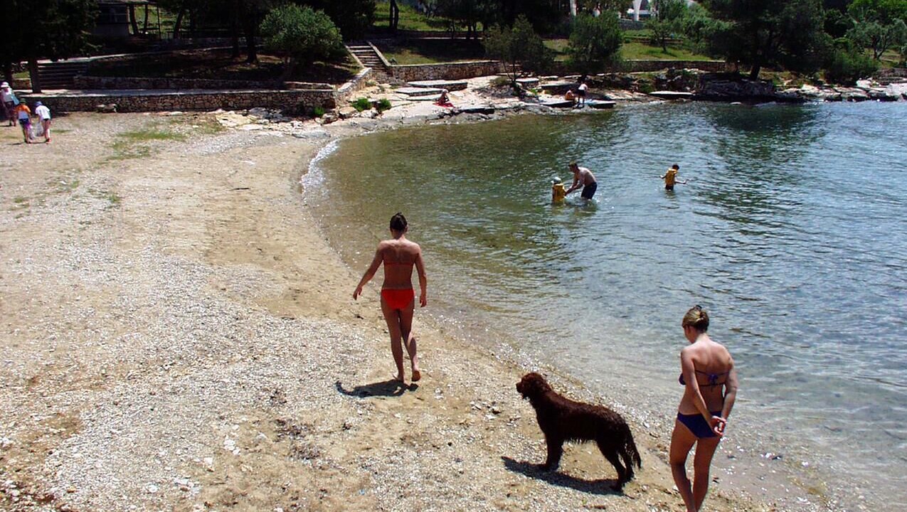 Photo of Others in Stari Grad