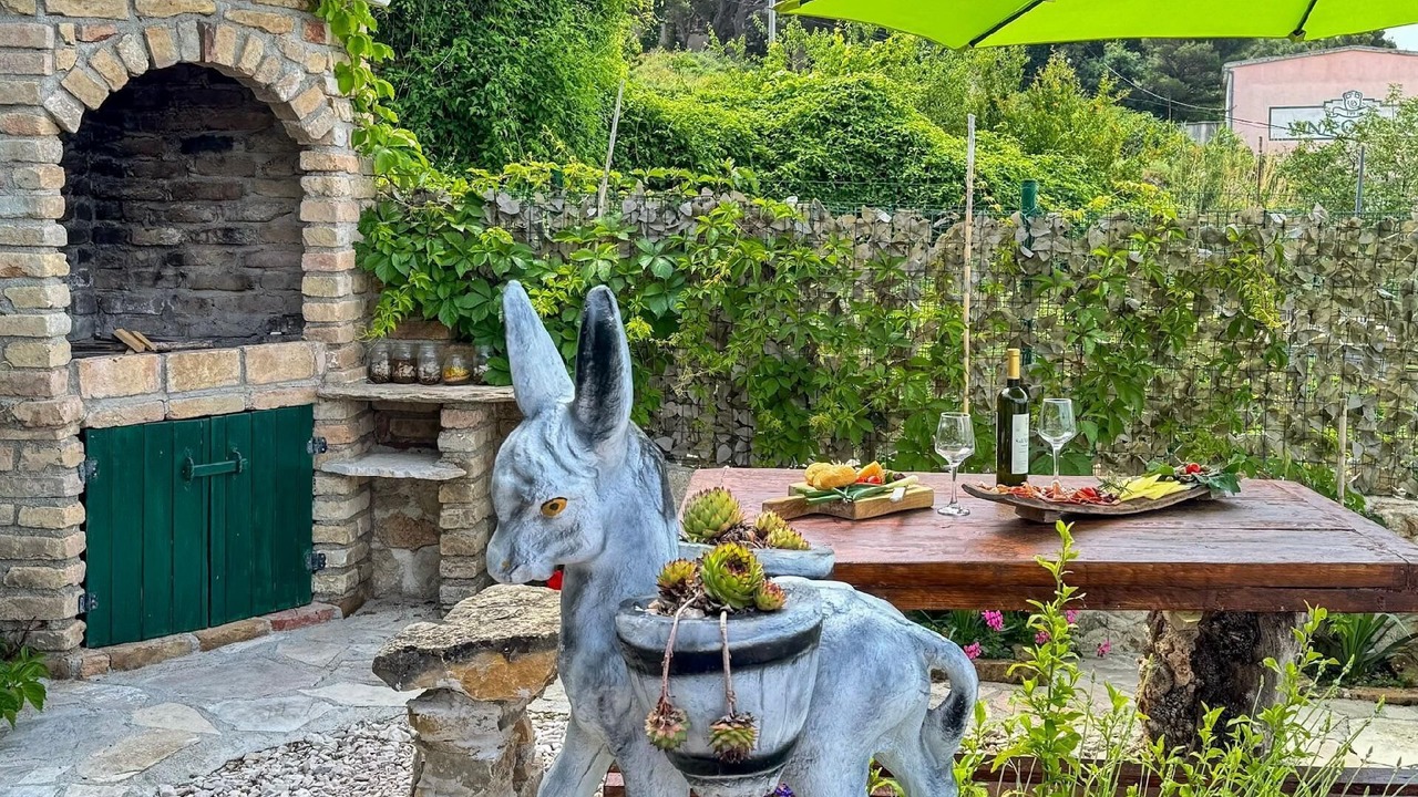 Photo of Outdoor in Tucepi