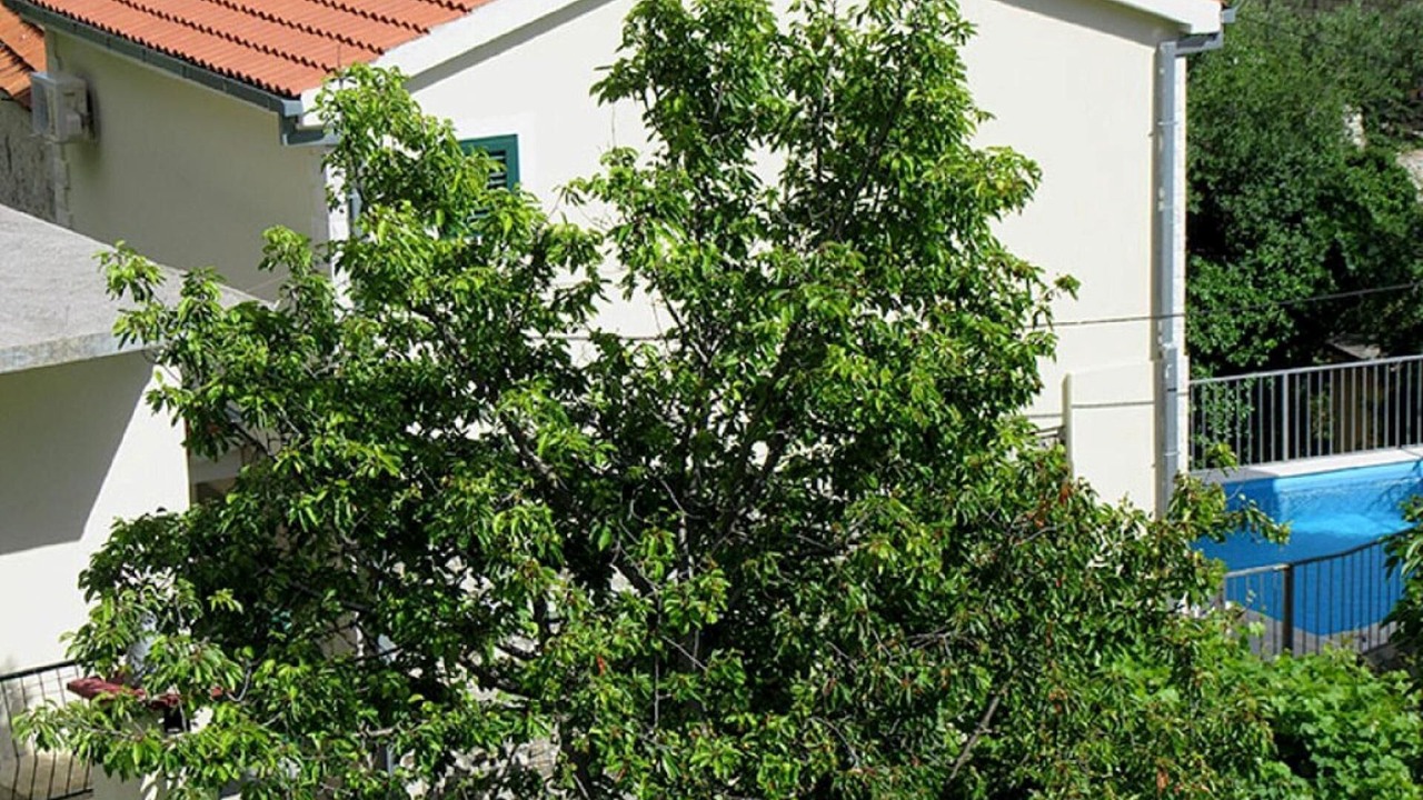 Photo of Outdoor in Tucepi