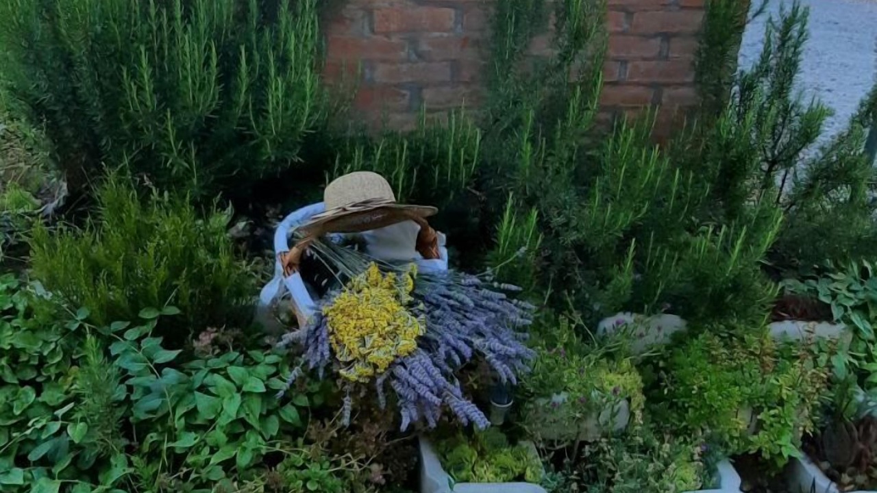 Photo of Outdoor in Sveti Juraj na Bregu