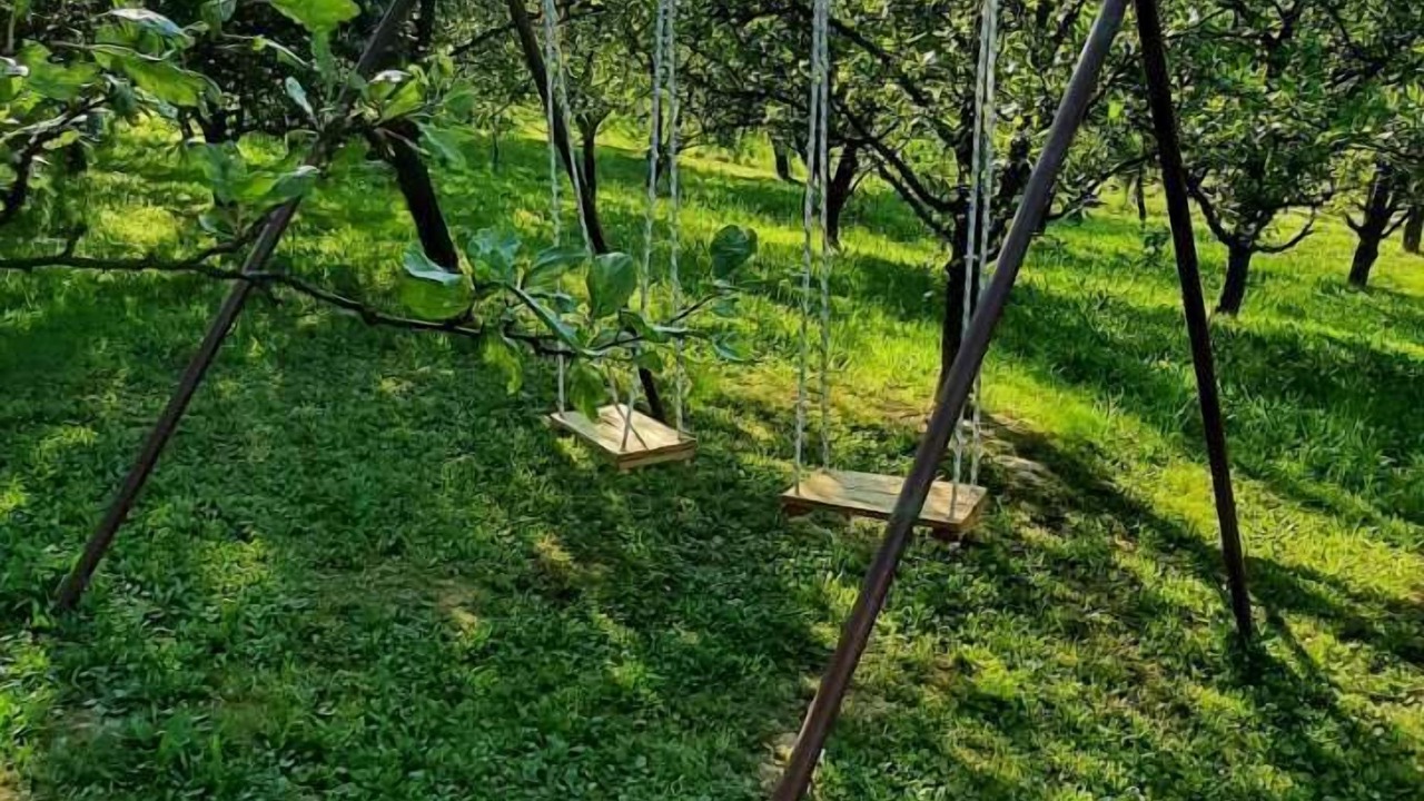 Photo of Others in Sveti Juraj na Bregu