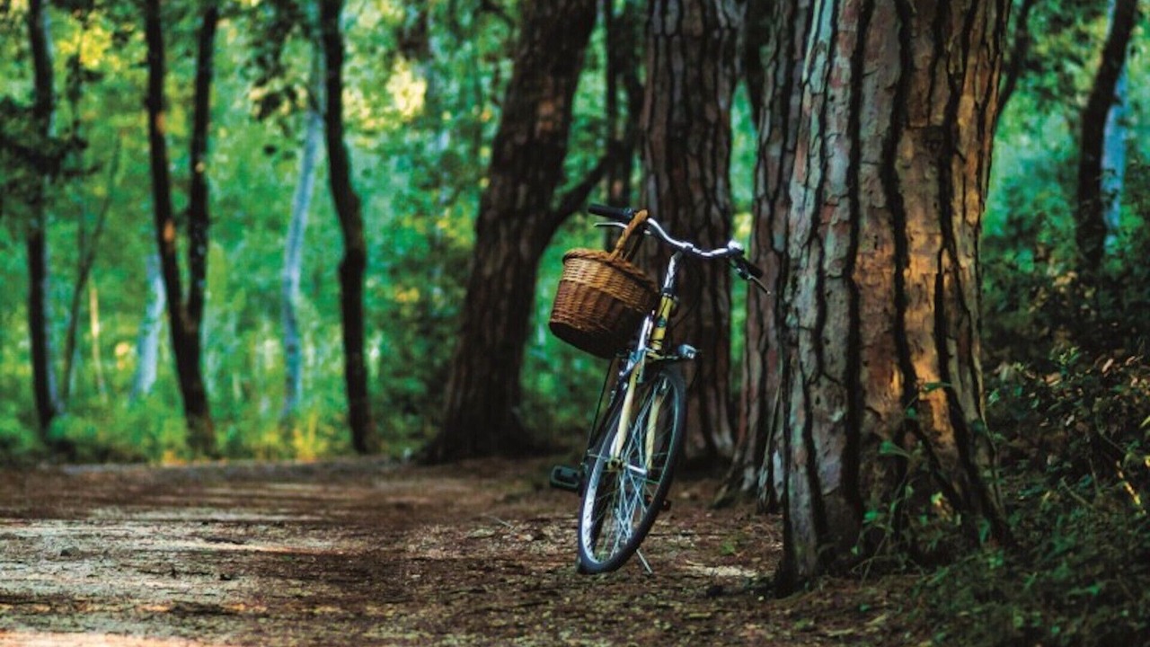 Photo of Outdoor in Kanfanar