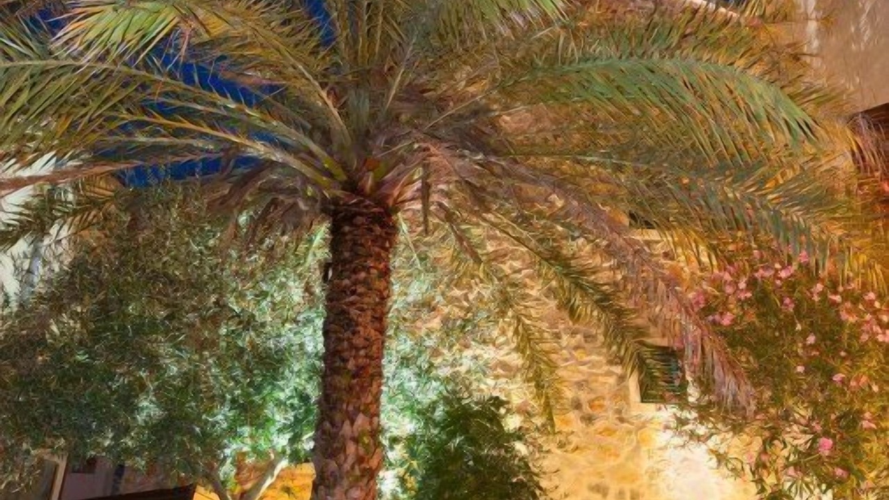 Photo of Outdoor in Bol