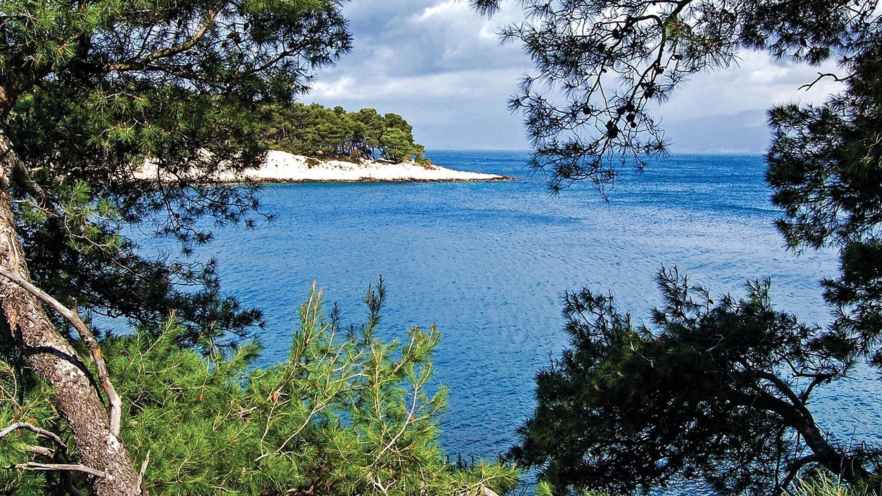 Photo of Others in Split