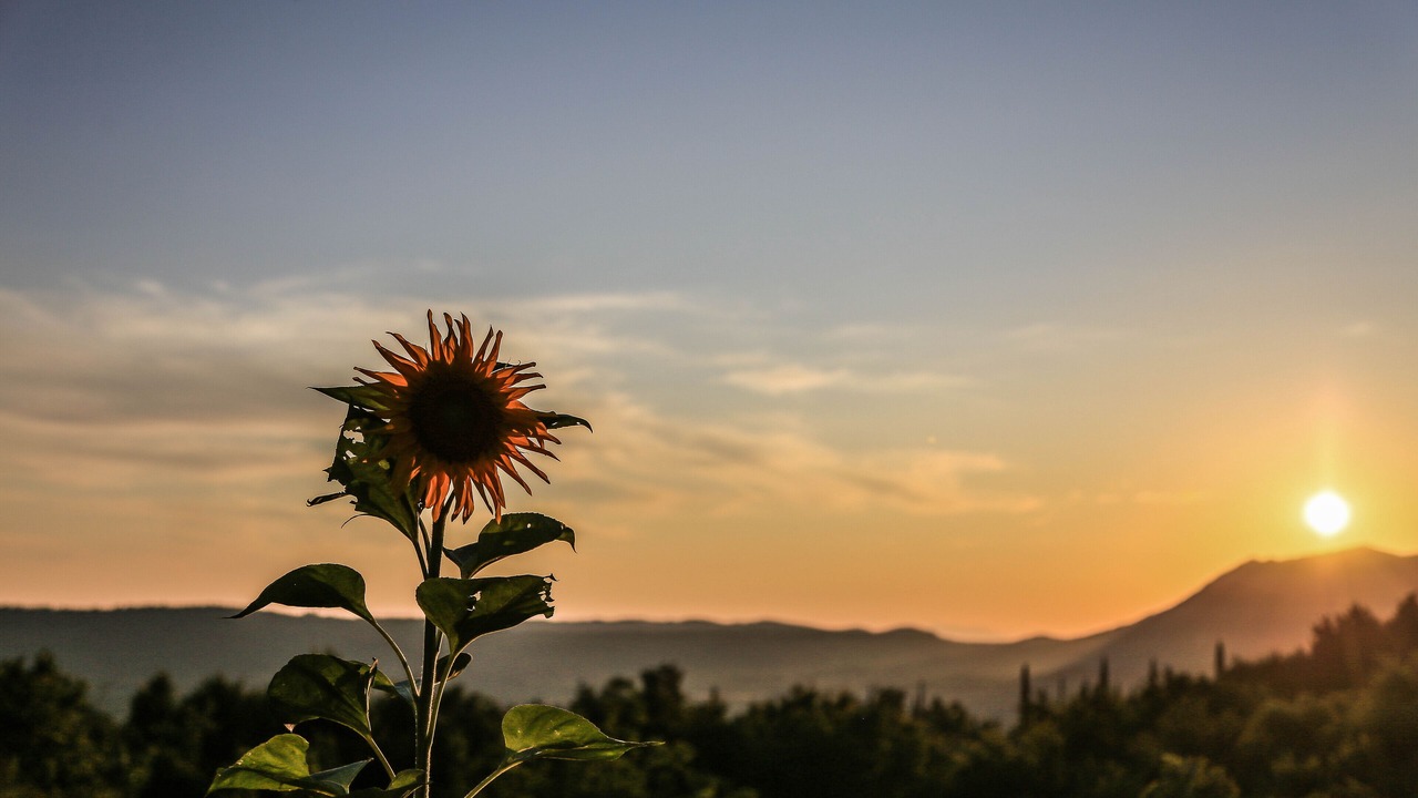 Photo of Others in Konavle