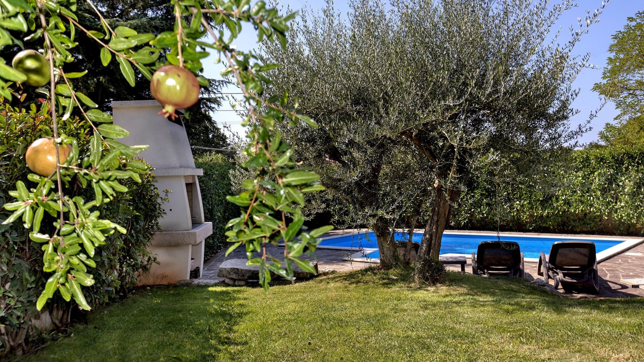 Photo of Outdoor in Kosinozici