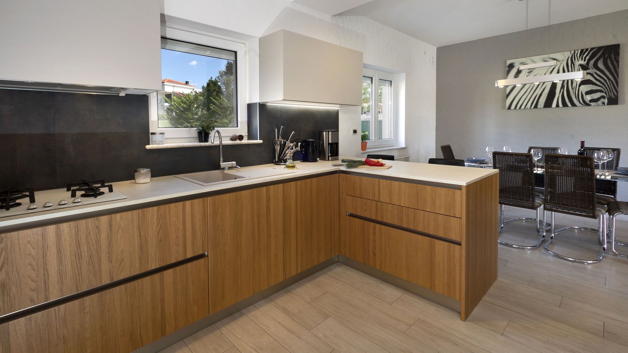 Photo of Kitchen in Kosinozici
