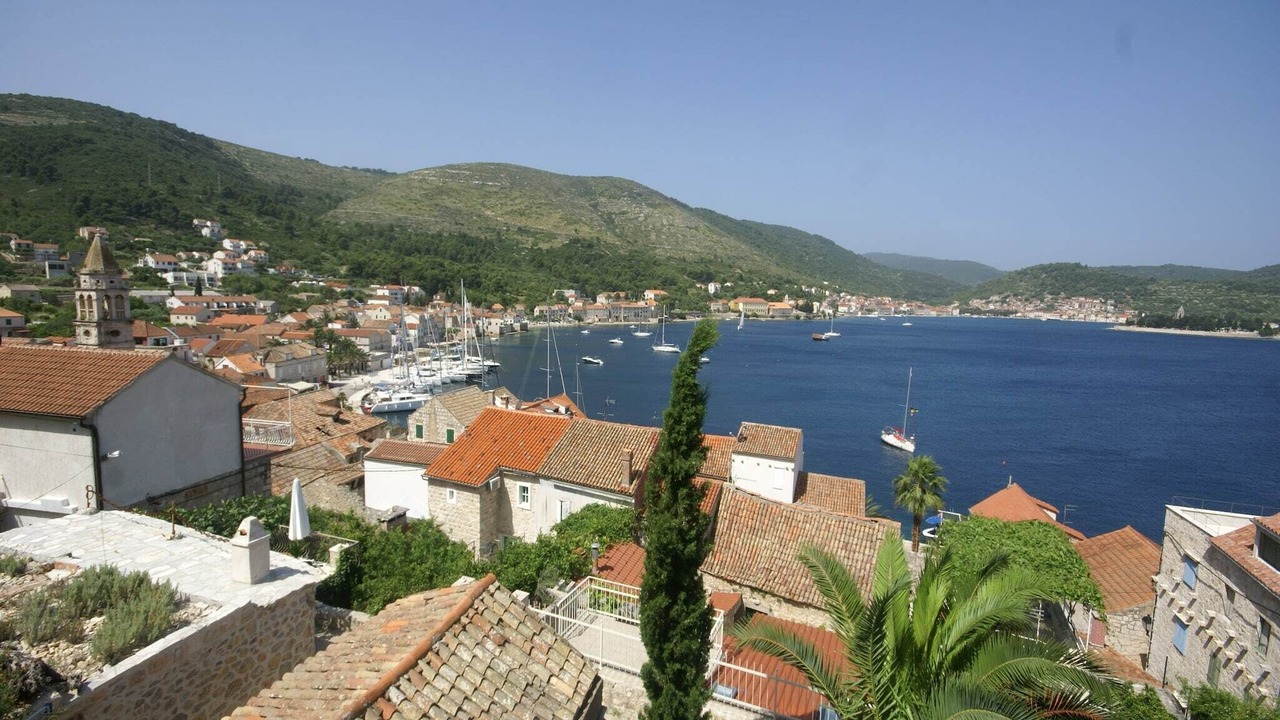 Photo of Others in Vis