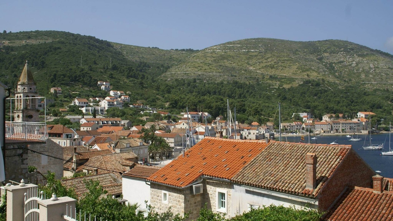 Photo of Others in Vis