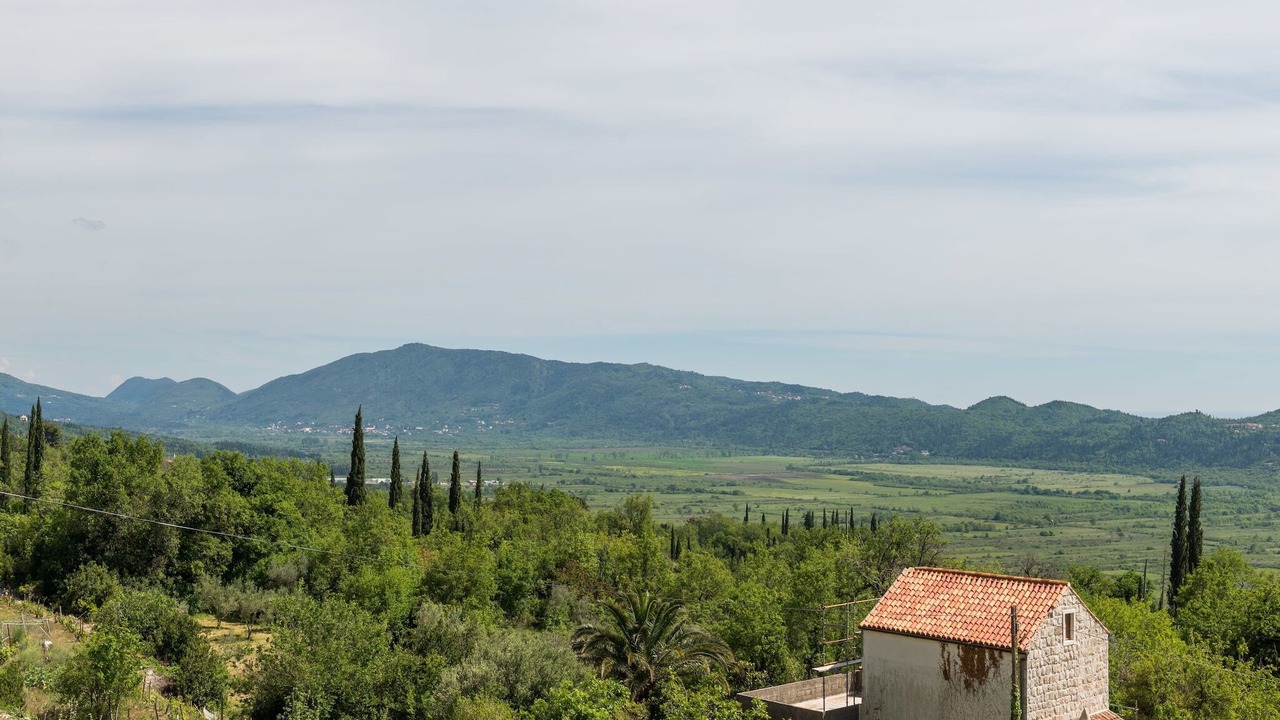 Photo of Others in Popovici