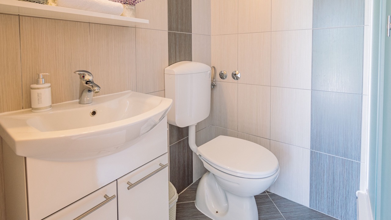 Photo of Bathroom in Lipovaca Dreznicka