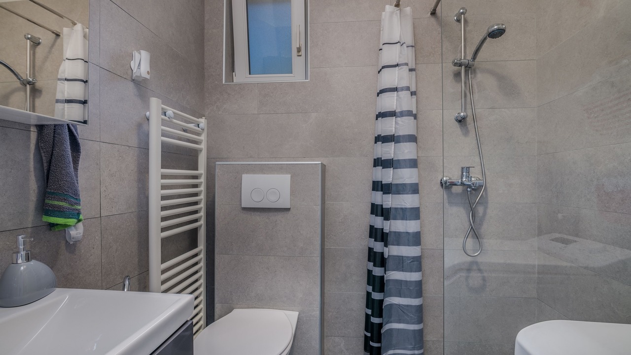 Photo of Bathroom in Milovcici