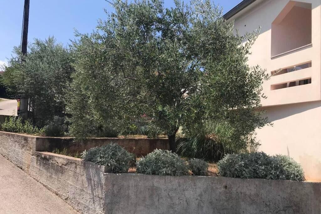 Photo of Outdoor in Lukoran