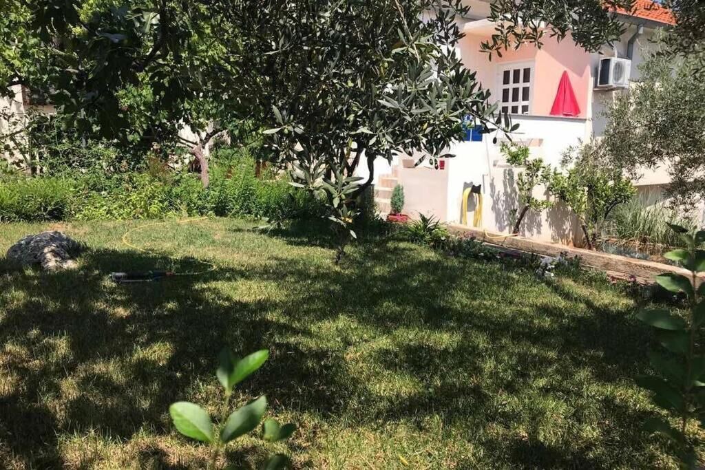 Photo of Outdoor in Lukoran