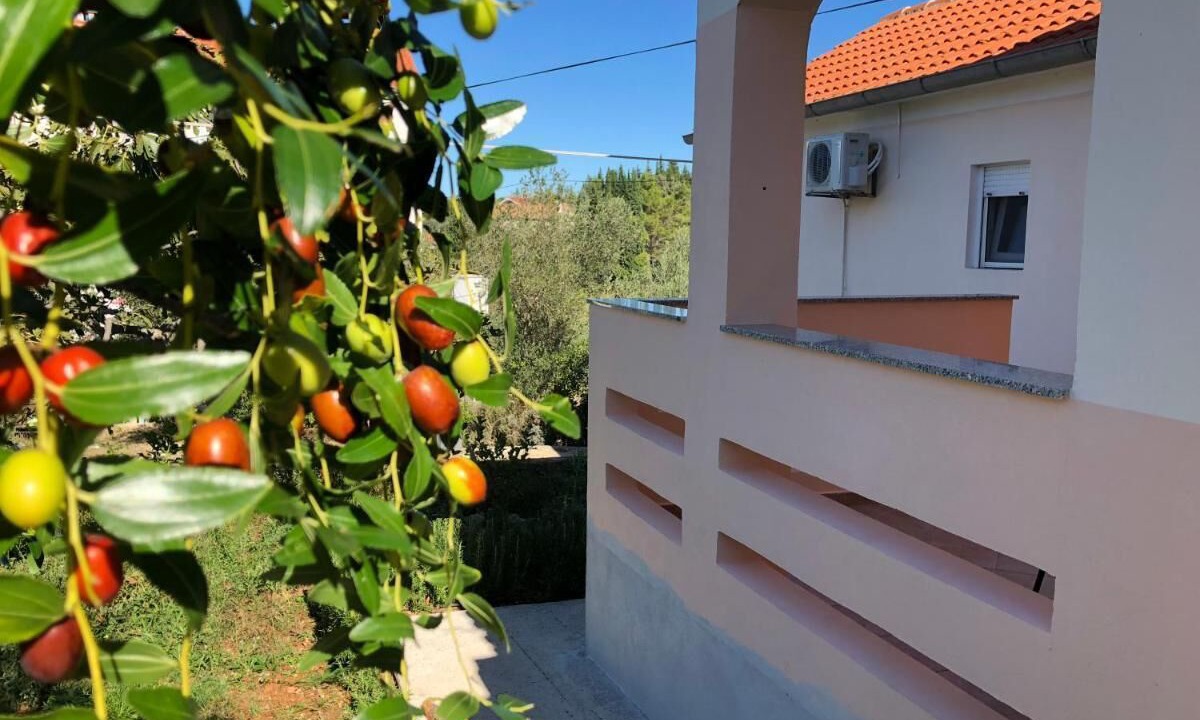 Photo of Outdoor in Lukoran