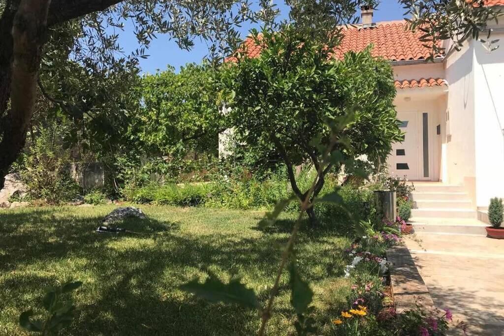 Photo of Outdoor in Lukoran