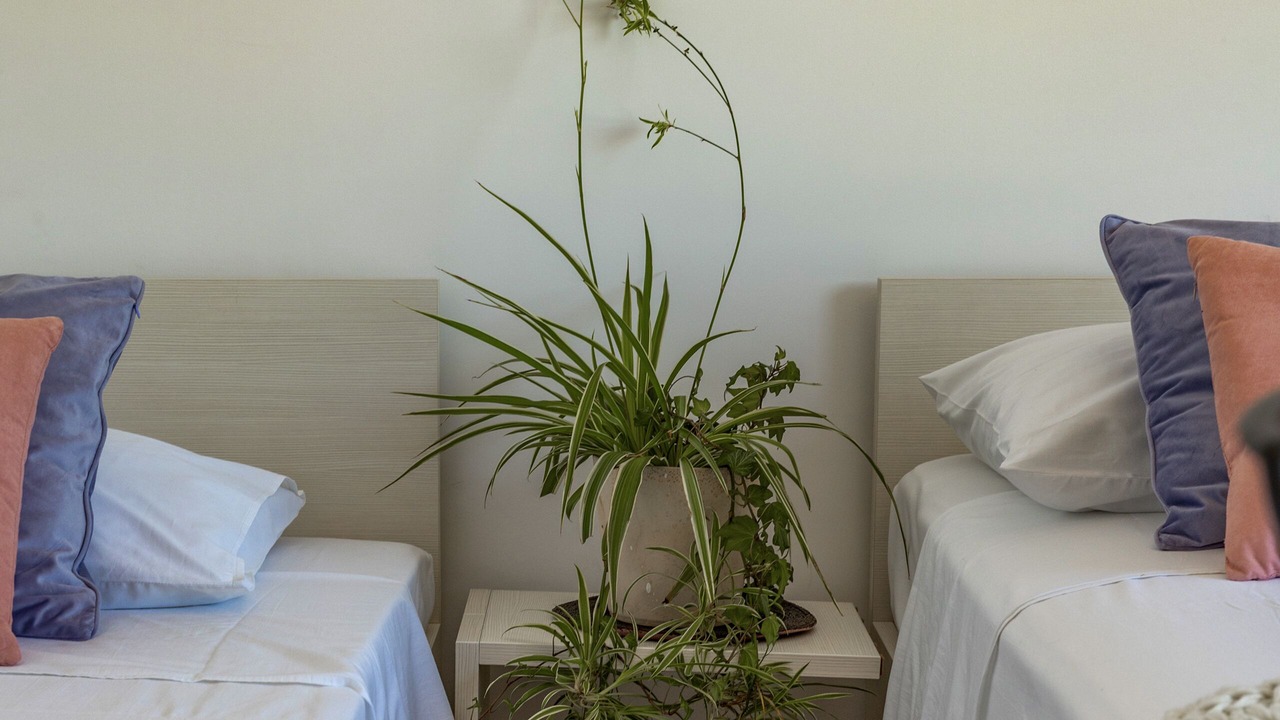 Photo of Bedroom in Buzdohanj