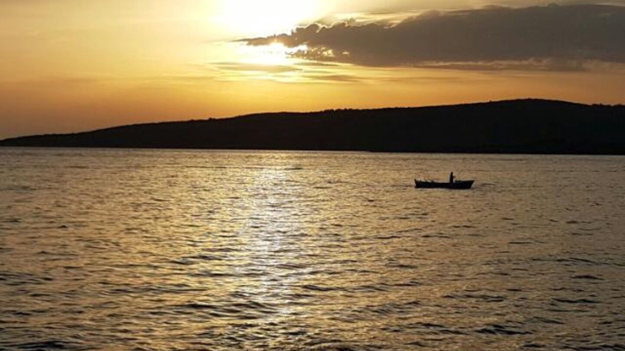 Photo of Others in Cove Osibova (Milna)