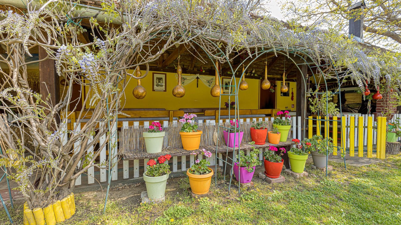 Photo of Outdoor in Velika