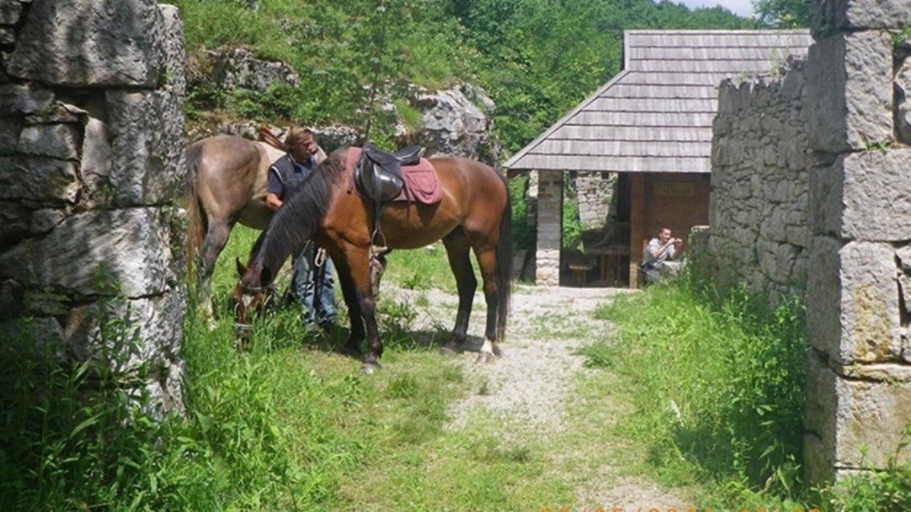 Photo of Others in Zmijavci