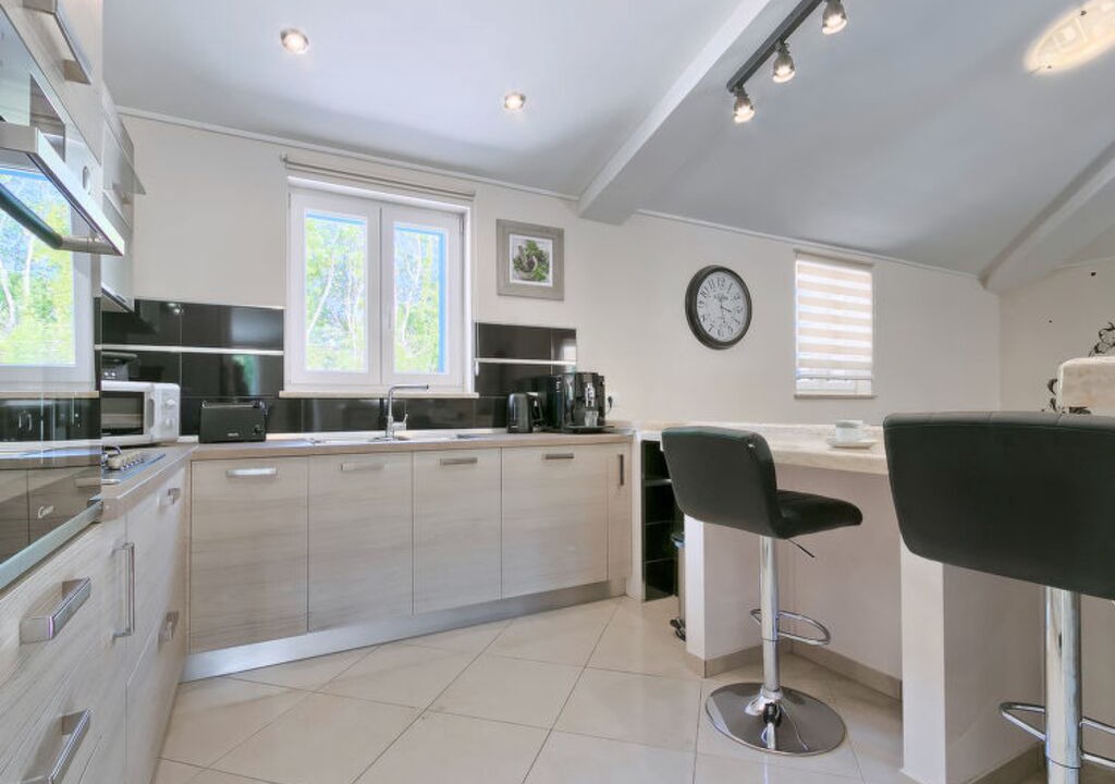 Photo of Kitchen in Snasici