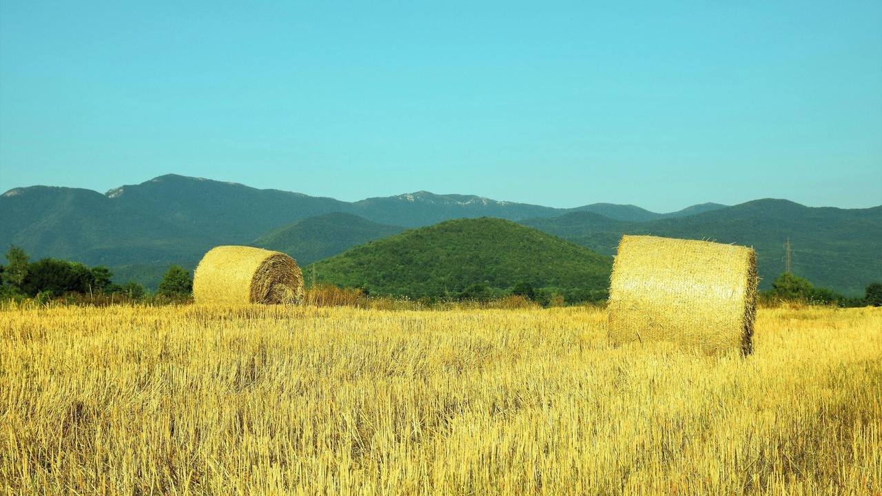 Photo of Others in Gospic