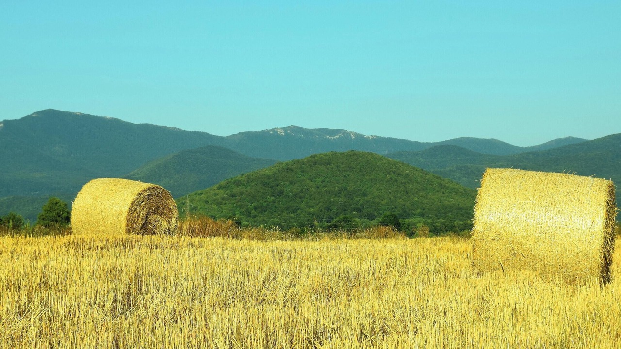 Photo of Others in Gospic