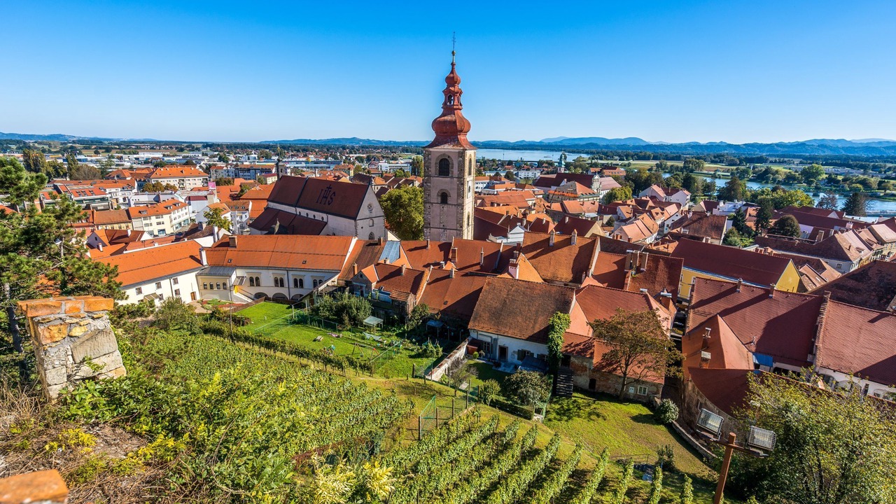 Photo of Others in Gorisnica