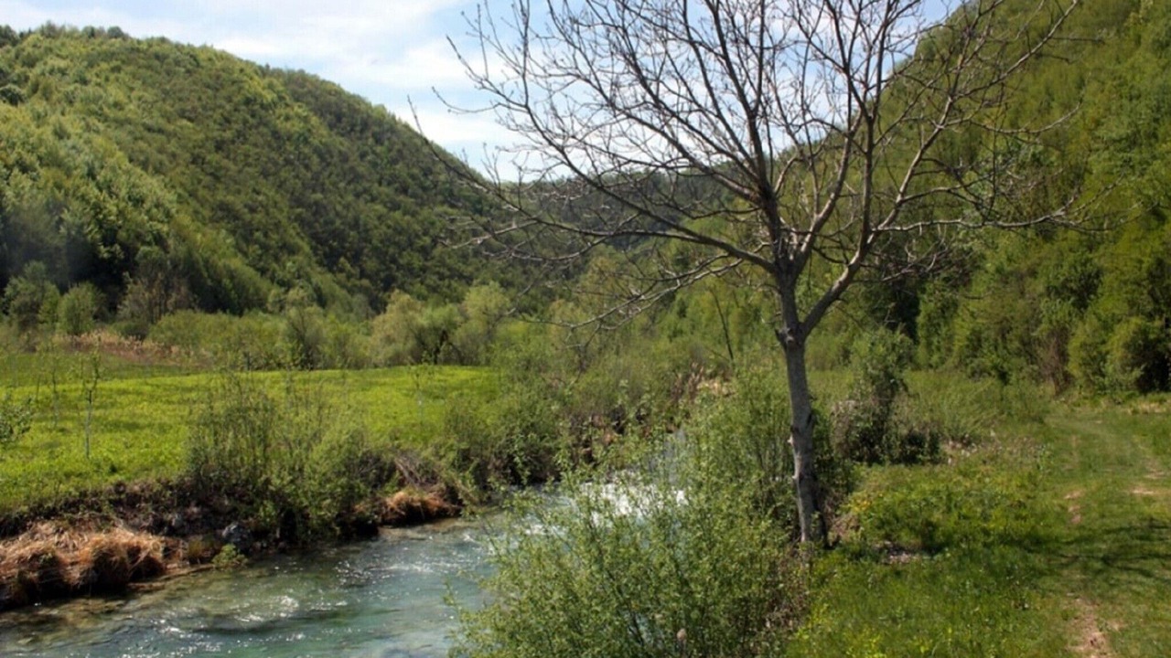 Photo of Others in Seliste Dreznicko