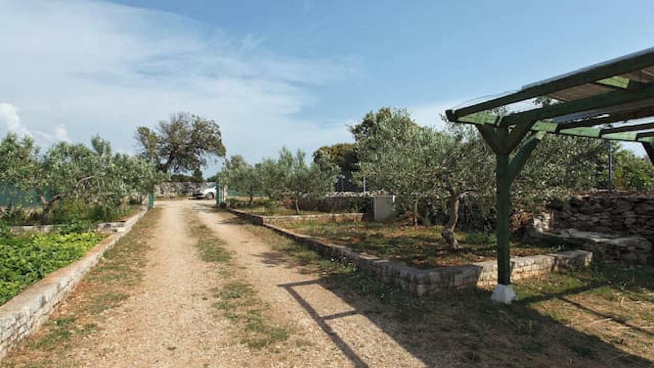 Photo of Others in Pucisca