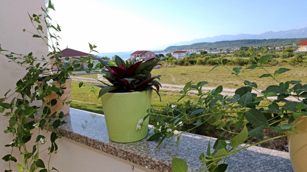 Photo of Others in Ljubac