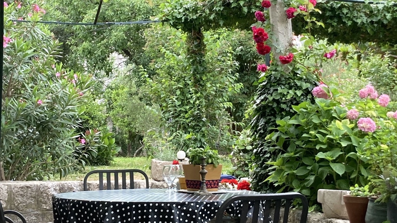 Photo of Outdoor in Mokosica