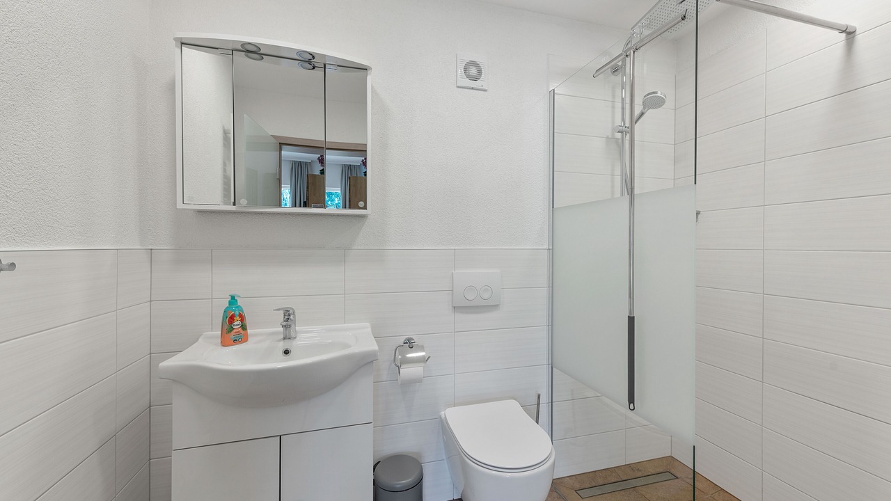 Photo of Bathroom in Rogocana