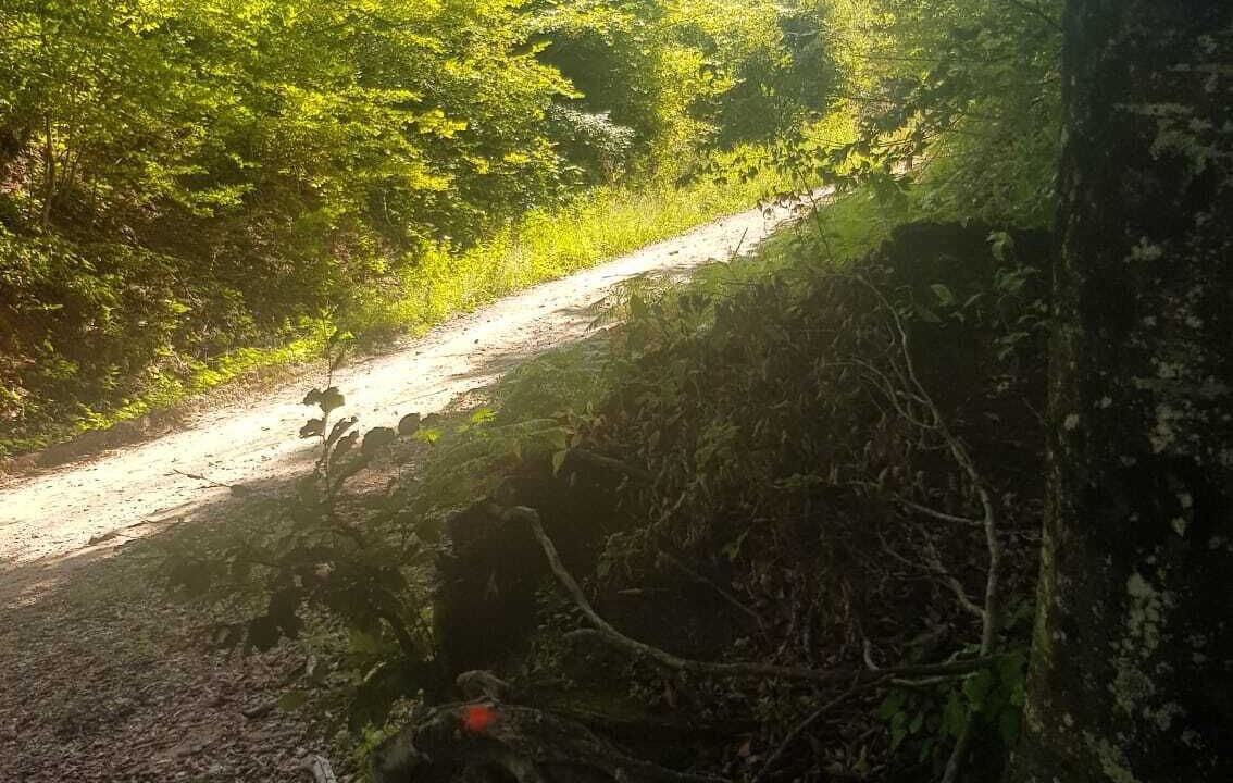 Photo of Outdoor in Caglin