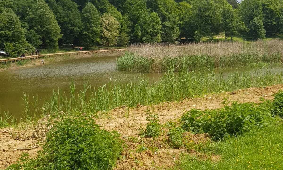 Photo of Outdoor in Caglin