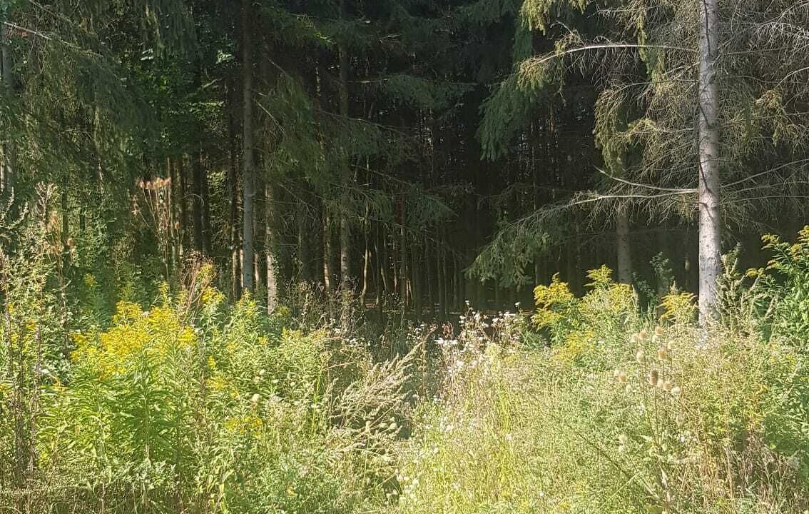 Photo of Outdoor in Caglin