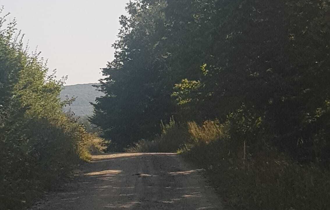 Photo of Outdoor in Caglin