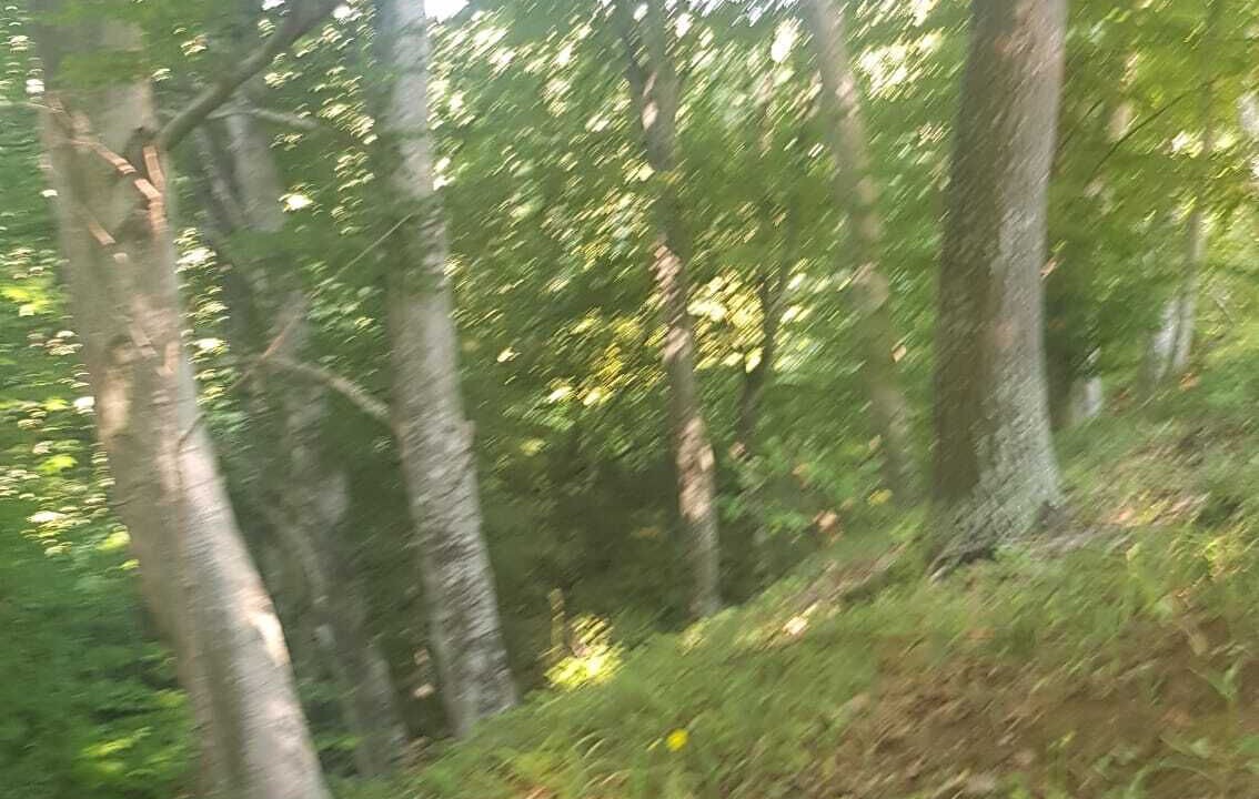 Photo of Outdoor in Caglin