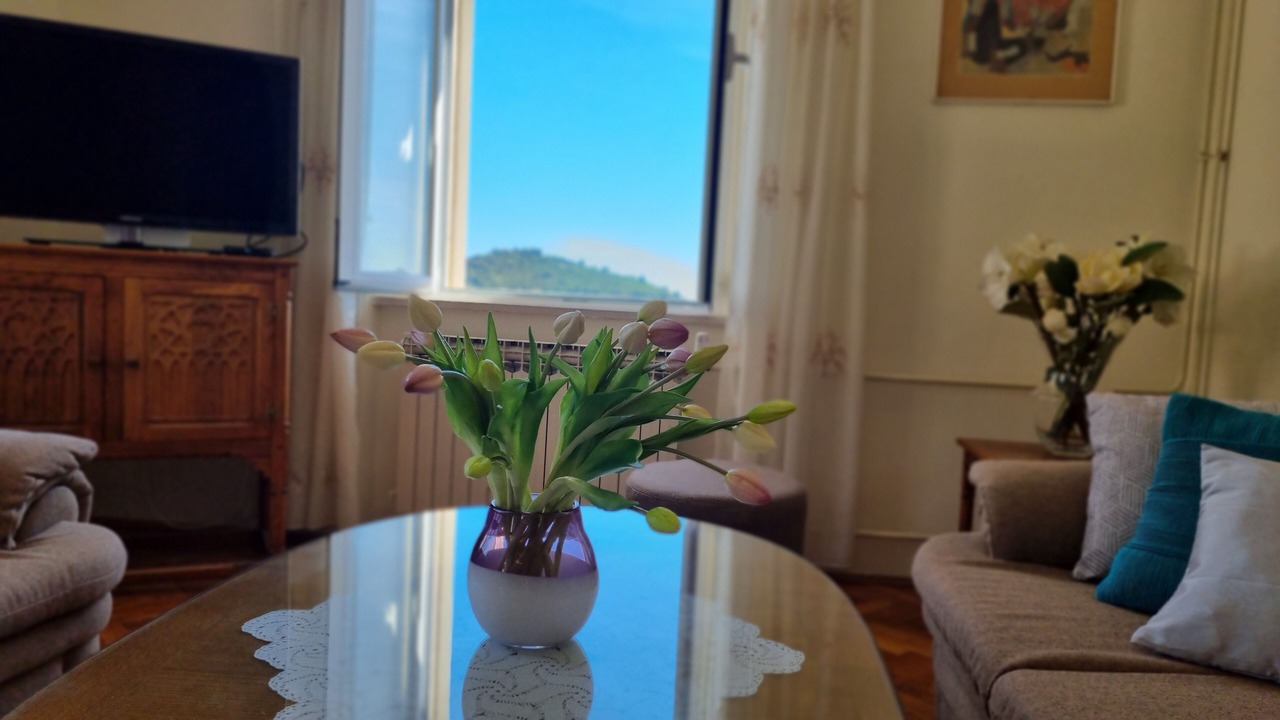 Photo of Livingroom in Ploce