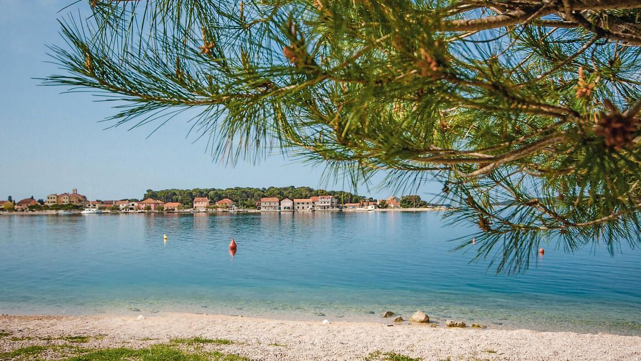 Photo of Others in Brodarica