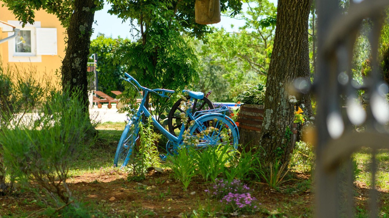 Photo of Others in Stokovci