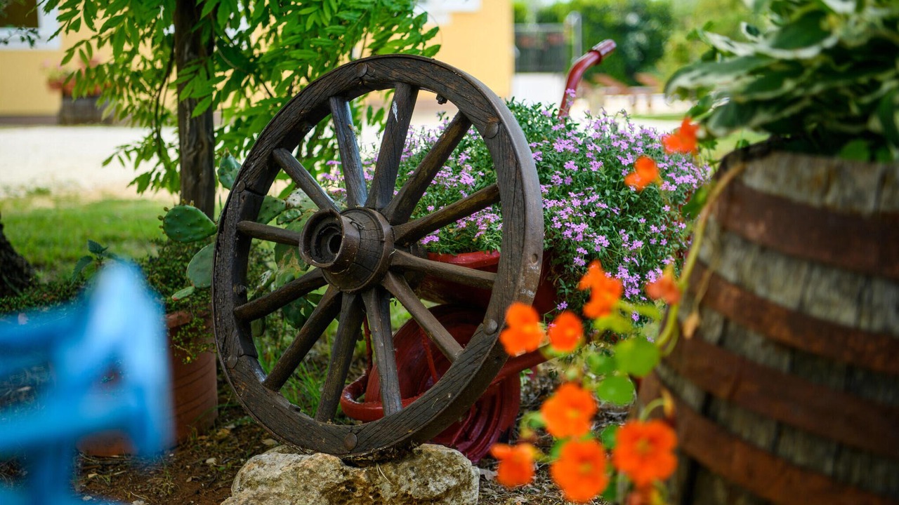 Photo of Others in Stokovci